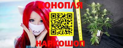 твердый Будённовск